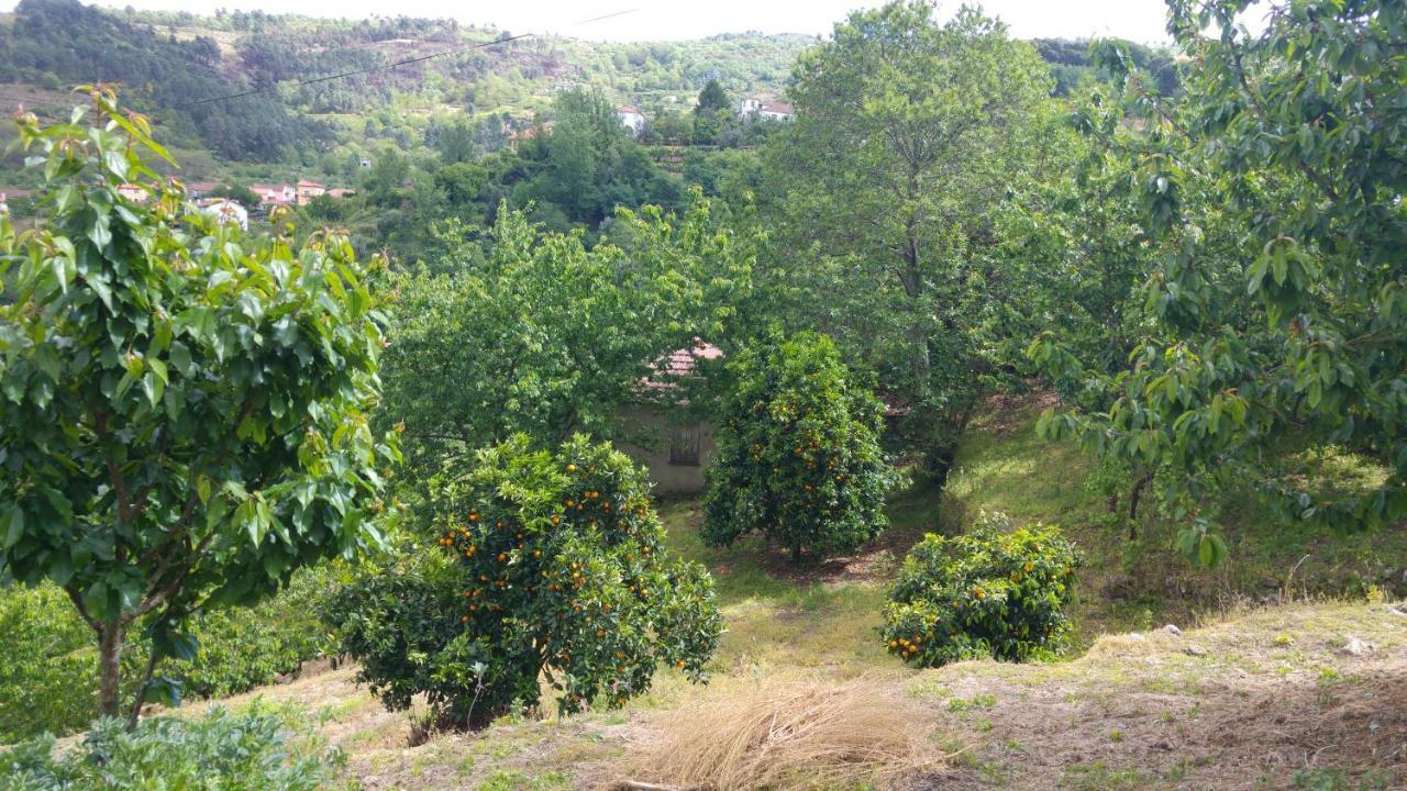 Casa Da Eira - Castanheiras Pension Resende Buitenkant foto